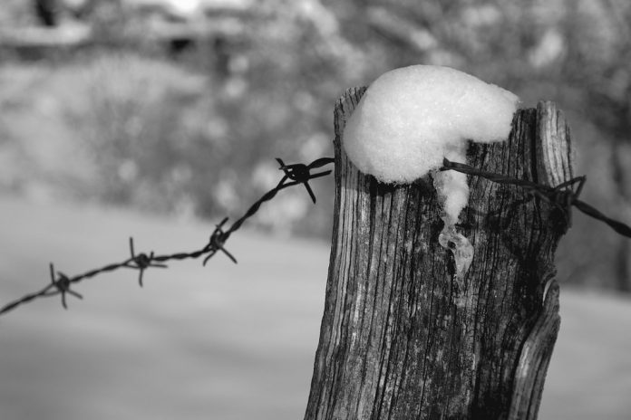 Olocausto, fonte Flickr